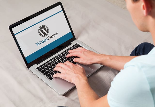 Why-smart-business-owners-are-using-WordPress.jpg