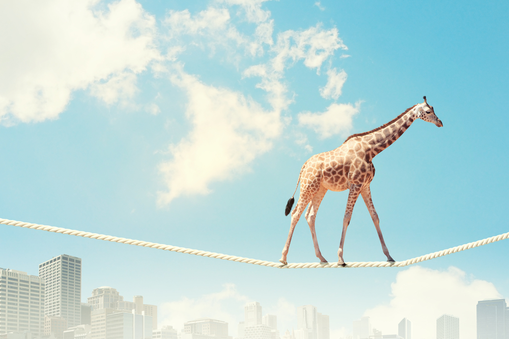 Image of giraffe balancing on rope high in sky