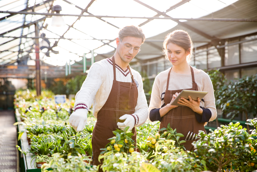 Gardening is like marketing. Serious male and female gardeners in brown aprons discussing plants and flowers and using tablet in orangery